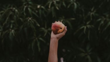 mango-gezond