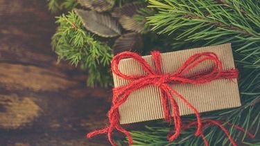 Dé duurzame Gift Guide voor de feestdagen 2021