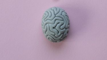 neuroplasticiteit