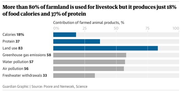 Grafiek impact voedsel op milieu