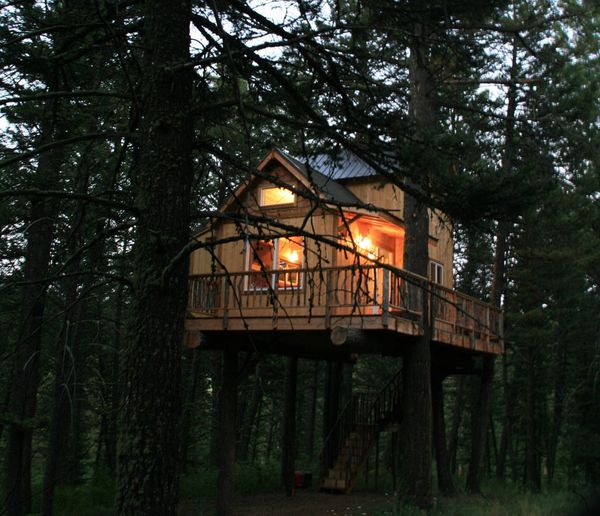 airbnb, campers, boomhutten, hammocks, natuur