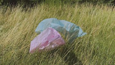 plastic tasjes in de natuur