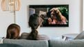Veel tv kijken op middelbare leeftijd kan later slecht uitpakken voor je brein, blijkt uit onderzoek