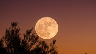 Loslaten, dromen en emoties: dit staat je te wachten tijdens de volle maan van augustus in Vissen 