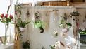 Kamer met planten