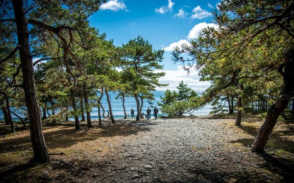 wandelen-zweden-hiken-hikes-Sörmlandsleden-1024x638