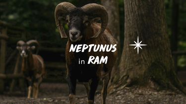 Neptunus in Ram