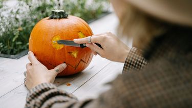 7x dingen die je deze herfstvakantie met de kids kunt doen