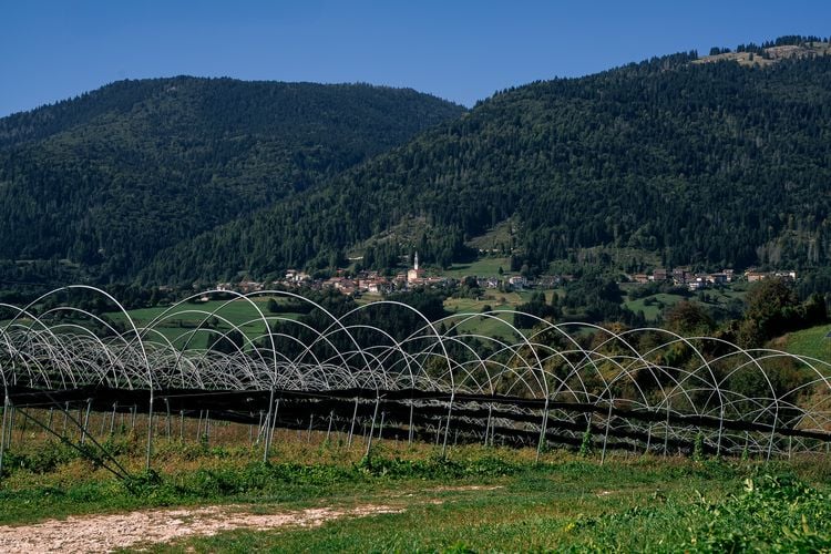 Het landschap bij Rigoni di Asiago