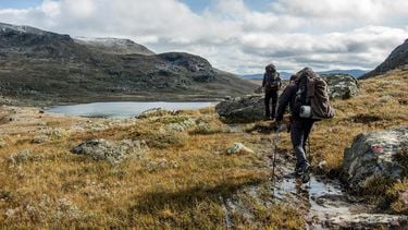 leven-natuur-zweden