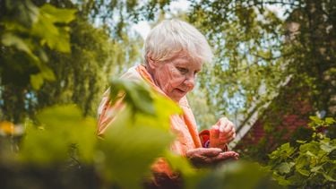 Persoonlijke aandacht ouderen