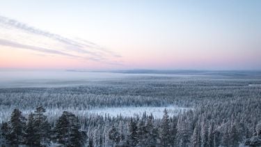 Wat te doen in Lapland, landschap Lapland