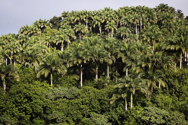 Een droom van een vakantie mét uniek duurzaam tintje: Barbados